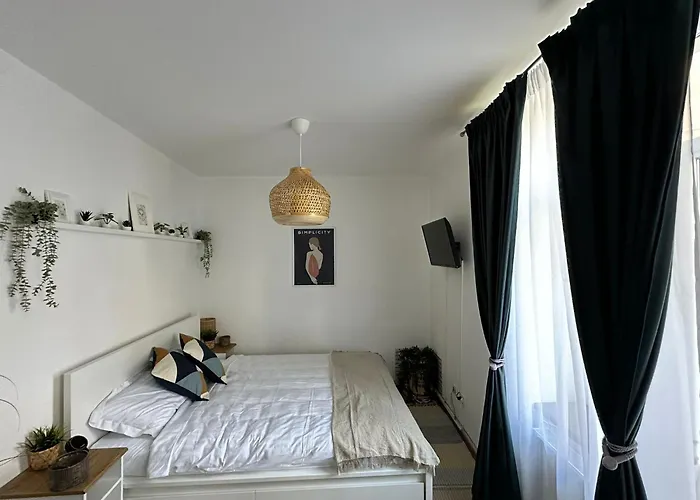 Zen Studio
